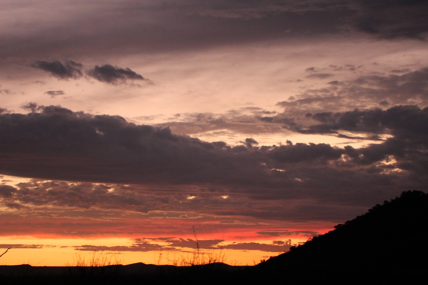 Nature view from Spirit of Madikwe - Africa Experience